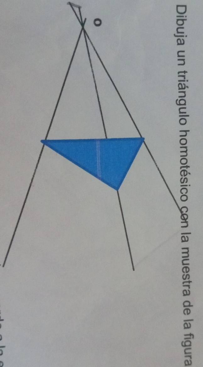Dibuja un triángulo homotésico con la muestra de la figura