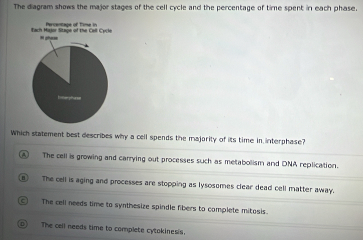 The diagram shows the major stages of the cell cycle and the percentage of time spent in each phase.
Which statement best describes why a cell spends the majority of its time in interphase?
A The cell is growing and carrying out processes such as metabolism and DNA replication.
B The cell is aging and processes are stopping as lysosomes clear dead cell matter away.
a The cell needs time to synthesize spindle fibers to complete mitosis.
) The cell needs time to complete cytokinesis.