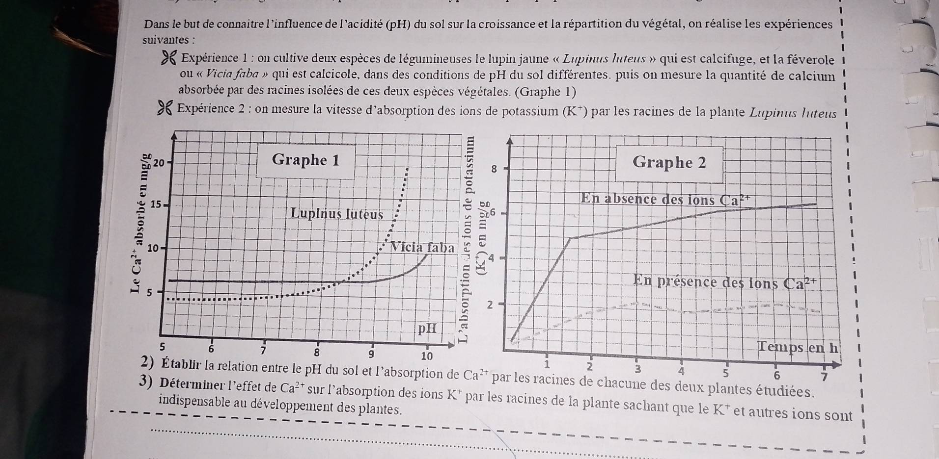 Dans le but de connaitre l'influence de l'acidité (pH) du sol sur la croissance et la répartition du végétal, on réalise les expériences
suivantes :
Expérience 1 : on cultive deux espèces de légumineuses le lupin jaune « Lupinus luteus » qui est calcifuge, et la féverole
ou « Vicia faba » qui est calcicole, dans des conditions de pH du sol différentes. puis on mesure la quantité de calcium
absorbée par des racines isolées de ces deux espèces végétales. (Graphe 1)
Expérience 2 : on mesure la vitesse d’absorption des ions de potassium (K^+) o par les racines de la plante Lupinus ltes
relation entre le pH du sol et l'absorption de par les racines de chacune des deux plantes étudiées.
3) Déterminer l'effet de Ca^(2+) sur labsorption des ions K* par les racines de la plante sachant que le K* et autres ions sont
indispensable au développement des plantes.