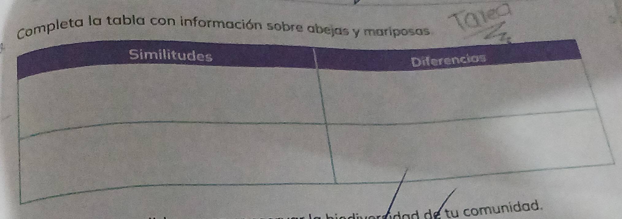 mpleta la tabla con información sobre ab 
dad de tu com