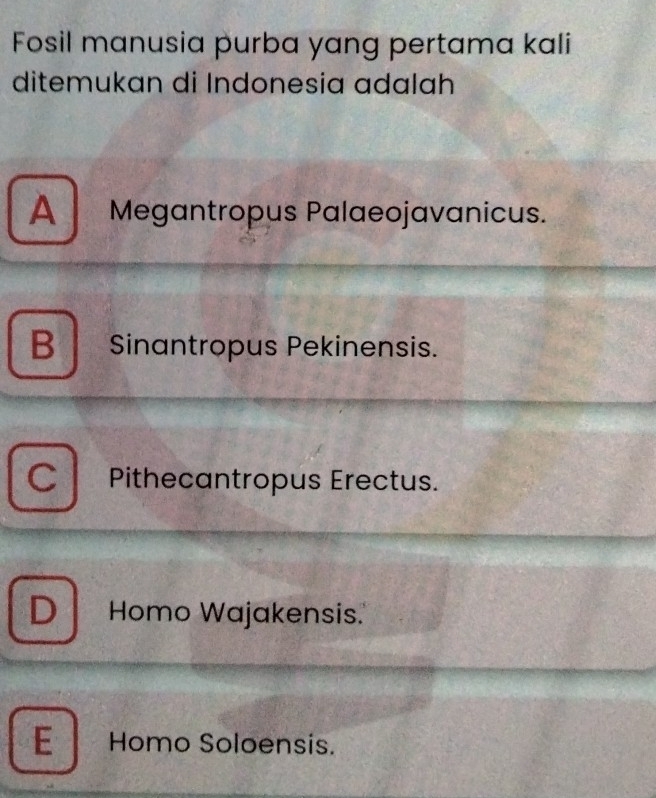 Fosil manusia purba yang pertama kali
ditemukan di Indonesia adalah
A Megantropus Palaeojavanicus.
B Sinantropus Pekinensis.
CI Pithecantropus Erectus.
D Homo Wajakensis.
E _Homo Soloensis.