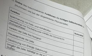 Funklion 
Ordne den beschriebenen Funktionen die richligen Zelbeslandfelle 
Nummem wie bei der abgebildeten Mlarzerzelle 
Speicherung von Farb- und Abfällstäfte 
If otosynthese ersfellung von Traubenzucker mthlfe des Sonnenlich 
Verdeiht der Zelle ihre Festigket 
Steuerzentrale der Zelle 
Gewinnung von Energie (Zellätmung) 
Stoffen Umglbt die Zelle, beteiigt a der