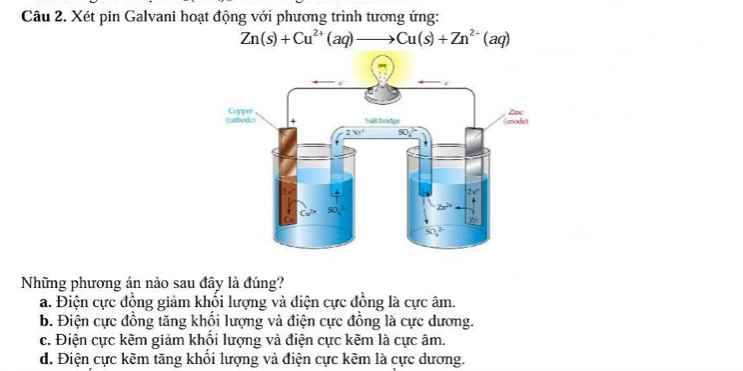 Xét pin Galvani hoạt động với phương trình tương ứng:
Zn(s)+Cu^(2+)(aq)to Cu(s)+Zn^(2+)(aq)
Những phương án nào sau đây là đúng?
a. Điện cực đồng giảm khổi lượng và điện cực đồng là cực âm.
b. Điện cực đồng tăng khối lượng và điện cực đồng là cực dương.
c. Điện cực kẽm giảm khổi lượng và điện cực kẽm là cực âm.
d. Điện cực kẽm tăng khổi lượng và điện cực kẽm là cực dương.