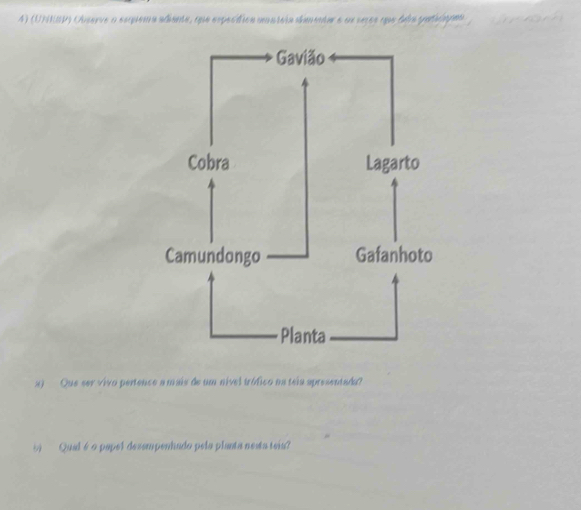 (UNKRP) Observe o esquema adiemte, que espeóídica unatóia dimentar e os seres que dela patóapmo 
x) Que ser vivo pertence a mais de um nível trófico na teia apresentada? 
Qual é o papel desempenhado pela planta nesta teia?