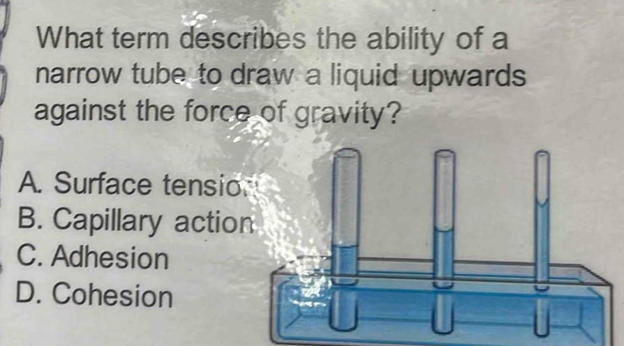 What term describes the ability of a
narrow tube to draw a liquid upwards
against the force of gravity?
A. Surface tensio
B. Capillary action
C. Adhesion
D. Cohesion