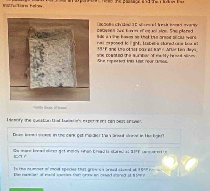 scroes an experment. Read the passage and then follow the 
instructions below. 
Isabelle divided 20 slices of fresh bread evenly 
between two boxes of equal size. She placed 
lids on the boxes so that the bread slices were 
not exposed to light. Isabelle stored one box at
55°F and the other box at 85°P. After ten days, 
she counted the number of moldy bread slices. 
She repeated this test four times. 
molity slices of bread 
Identify the question that Isabelle's experiment can best answer. 
Does bread stored in the dark get moldier than bread stored in the light? 
Do more bread slices get moldy when bread is stored at 55°F compared to
85°F 7 
Is the number of mold species that grow on bread stored at 55°F huones 
the number of mold species that grow on bread stored at 85°F ?