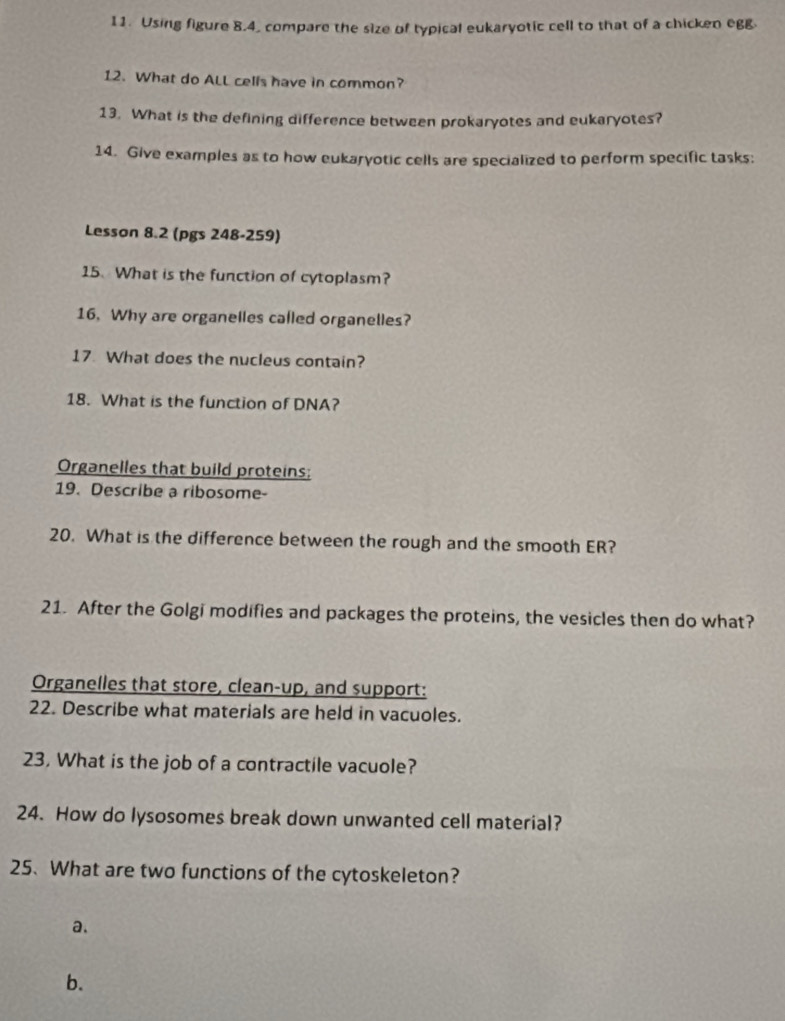 Using figure 8.4, compare the size of typical eukaryotic cell to that of a chicken egg 
12. What do ALL cells have in common? 
13. What is the defining difference between prokaryotes and eukaryotes? 
14. Give examples as to how eukaryotic cells are specialized to perform specific tasks: 
Lesson 8.2 (pgs 248-259) 
15. What is the function of cytoplasm? 
16. Why are organelles called organelles? 
17. What does the nucleus contain? 
18. What is the function of DNA? 
Organelles that build proteins; 
19. Describe a ribosome- 
20. What is the difference between the rough and the smooth ER? 
21. After the Golgi modifies and packages the proteins, the vesicles then do what? 
Organelles that store, clean-up, and support: 
22. Describe what materials are held in vacuoles. 
23. What is the job of a contractile vacuole? 
24. How do lysosomes break down unwanted cell material? 
25. What are two functions of the cytoskeleton? 
a. 
b.