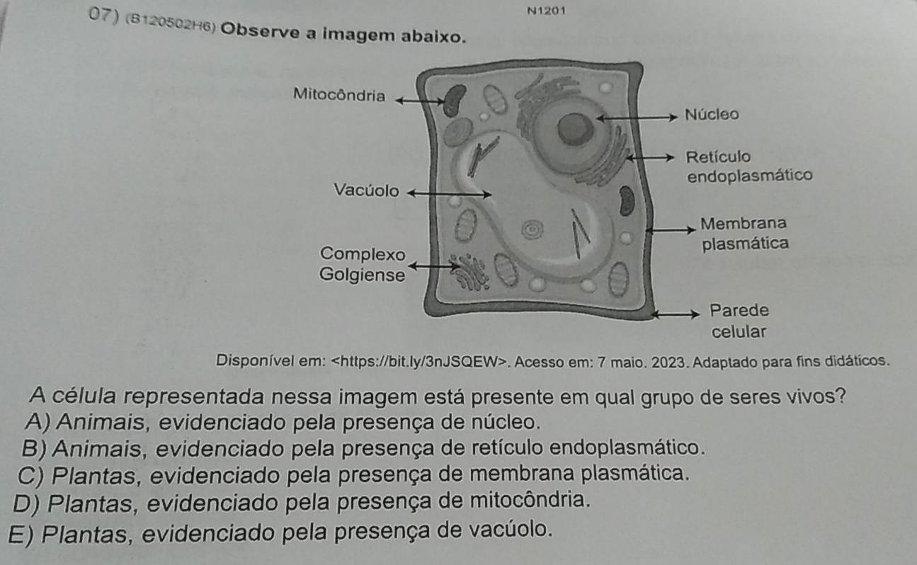 N1201
07) (B120502H6) Observe a imagem abaixo.
Disponível em:. Acesso em: 7 maio. 2023. Adaptado para fins didáticos.
A célula representada nessa imagem está presente em qual grupo de seres vivos?
A) Animais, evidenciado pela presença de núcleo.
B) Animais, evidenciado pela presença de retículo endoplasmático.
C) Plantas, evidenciado pela presença de membrana plasmática.
D) Plantas, evidenciado pela presença de mitocôndria.
E) Plantas, evidenciado pela presença de vacúolo.