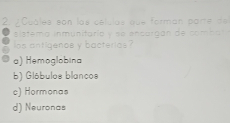 ¿Cuáles son las celulas que forman parte de
sistem a inmunitario y se encargan de comb a 
los antígenos y bacterias?
a) Hemoglobina
b) Glóbulos blancos
c) Hormonas
d) Neuronas