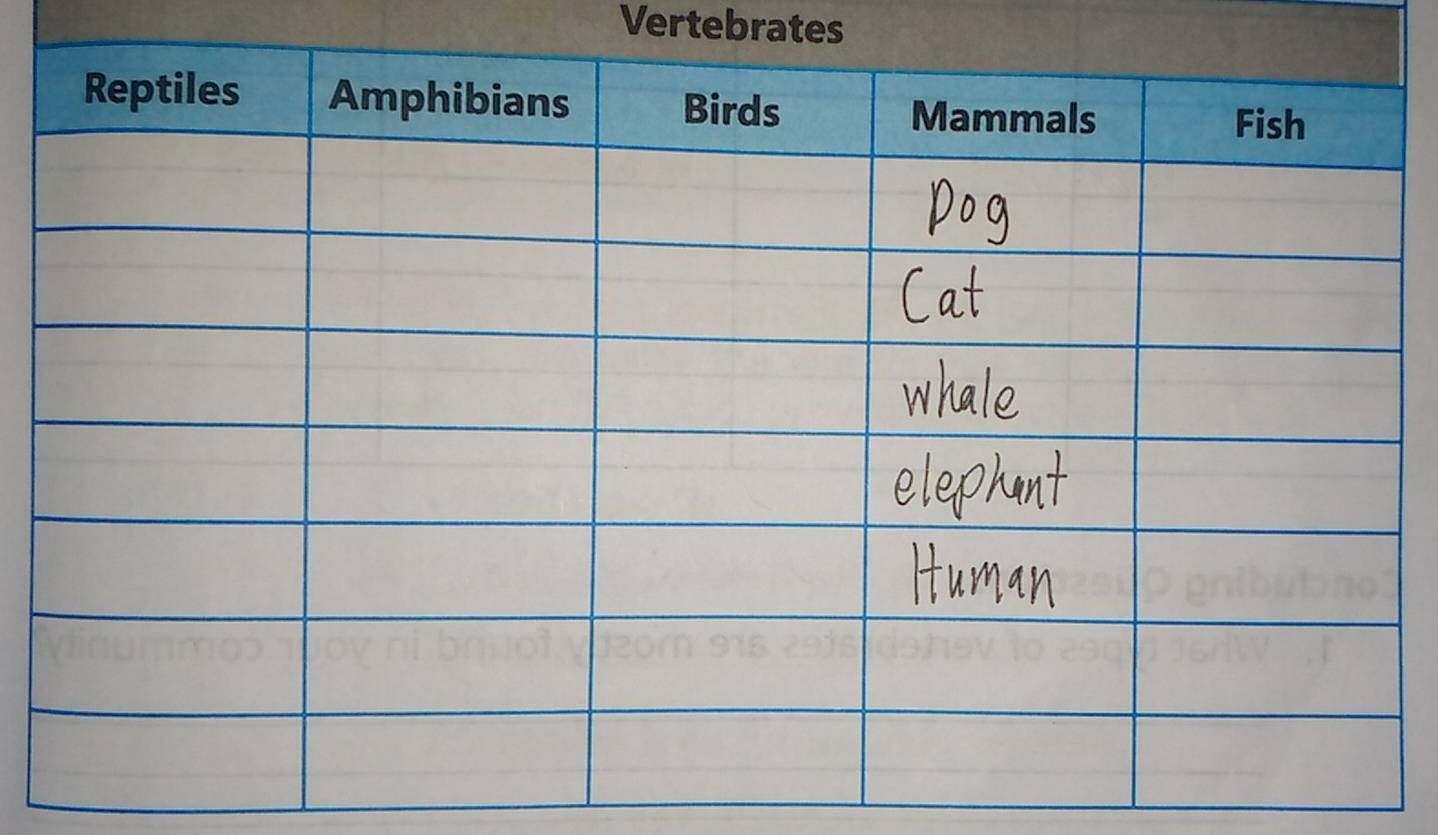 Vertebrates