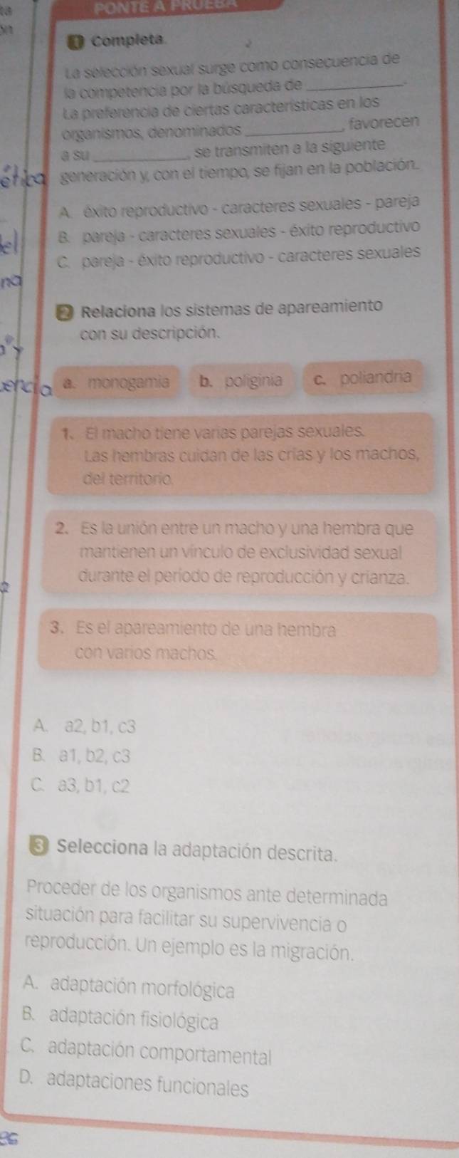 PONTE A PRUES
O Completa.
La selección sexual surge como consecuencia de
la competencia por la búsqueda de_
La preferencia de ciertas características en los
organísmos, denominados _favorecen
a su _se transmiten a la siguiente
generación y, con el tiempo, se fijan en la población.
A. éxito reproductivo - caracteres sexuales - pareja
B. pareja - caracteres sexuales - éxito reproductivo
C. pareja - éxito reproductivo - caracteres sexuales
nà
❷ Relaciona los sistemas de apareamiento
con su descripción.
n a a. monogamia b. poliginia c. poliandria
1、 El macho tiene varias parejas sexuales.
Las hembras cuidan de las crías y los machos,
del territorío.
2. Es la unión entre un macho y una hembra que
mantienen un vínculo de exclusividad sexual
durante el período de reproducción y crianza.
2
3. Es el apareamiento de una hembra
con varios machos.
A. a2, b1, c3
B. a1, b2, c3
C. a3, b1, c2
* Selecciona la adaptación descrita.
Proceder de los organismos ante determinada
situación para facilitar su supervivencia o
reproducción. Un ejemplo es la migración.
A. adaptación morfológica
B. adaptación fisiológica
C. adaptación comportamental
D. adaptaciones funcionales
B6