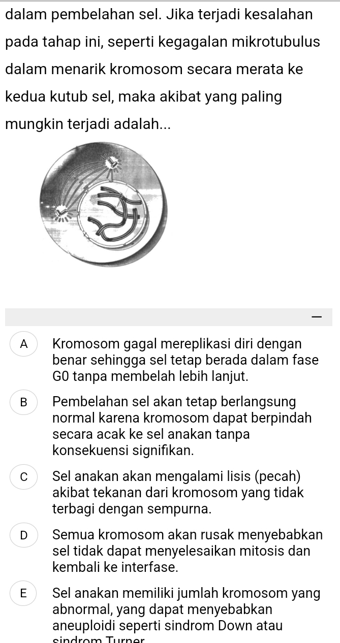 dalam pembelahan sel. Jika terjadi kesalahan
pada tahap ini, seperti kegagalan mikrotubulus
dalam menarik kromosom secara merata ke
kedua kutub sel, maka akibat yang paling
mungkin terjadi adalah...
A Kromosom gagal mereplikasi diri dengan
benar sehingga sel tetap berada dalam fase
G0 tanpa membelah lebih lanjut.
B Pembelahan sel akan tetap berlangsun
normal karena kromosom dapat berpindah
secara acak ke sel anakan tanpa
konsekuensi signifıkan.
c Sel anakan akan mengalami lisis (pecah)
akibat tekanan dari kromosom yang tidak
terbagi dengan sempurna.
D Semua kromosom akan rusak menyebabkan
sel tidak dapat menyelesaikan mitosis dan
kembali ke interfase.
E Sel anakan memiliki jumlah kromosom yang
abnormal, yang dapat menyebabkan
aneuploidi seperti sindrom Down atau