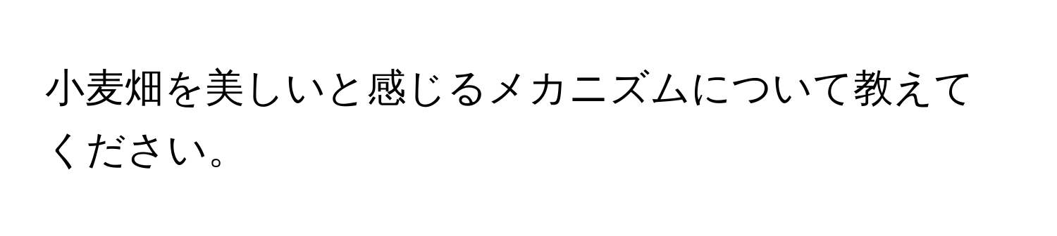 小麦畑を美しいと感じるメカニズムについて教えてください。