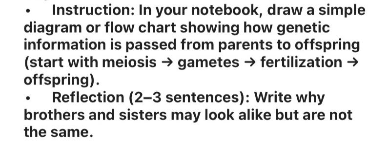 Solved: Instruction: In your notebook, draw a simple diagram or flow ...