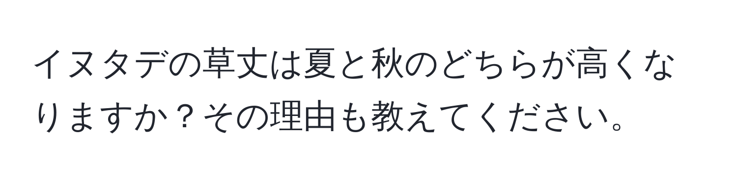 イヌタデの草丈は夏と秋のどちらが高くなりますか？その理由も教えてください。