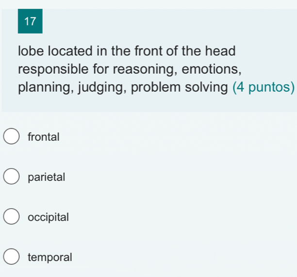 lobe located in the front of the head
responsible for reasoning, emotions,
planning, judging, problem solving (4 puntos)
frontal
parietal
occipital
temporal