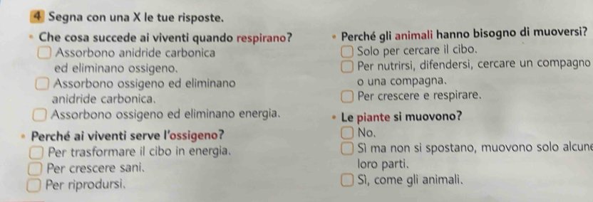 Segna con una X le tue risposte.
Che cosa succede ai viventi quando respirano? Perché gli animali hanno bisogno di muoversi?
Assorbono anidride carbonica Solo per cercare il cibo.
ed eliminano ossigeno. Per nutrirsi, difendersi, cercare un compagno
Assorbono ossigeno ed eliminano o una compagna.
anidride carbonica. Per crescere e respirare.
Assorbono ossigeno ed eliminano energia. Le piante si muovono?
Perché ai viventi serve l'ossigeno? No.
Per trasformare il cibo in energia. Sì ma non si spostano, muovono solo alcun
Per crescere sani. loro parti.
Per riprodursi. Sì, come gli animali.