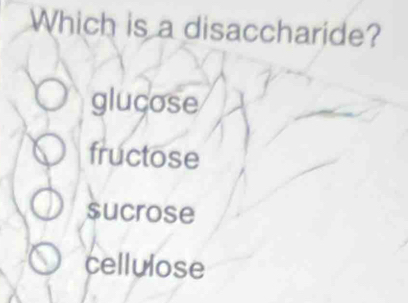 Which is a disaccharide?
gluçose
fructose
sucrose
cellulose