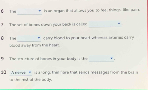 The is an organ that allows you to feel things, like pain. 
7 The set of bones down your back is called 
_' 
_ 
8 The carry blood to your heart whereas arteries carry 
blood away from the heart. 
_ 
9 The structure of bones in your body is the . 
10 A nerve is a long, thin fibre that sends messages from the brain 
to the rest of the body.