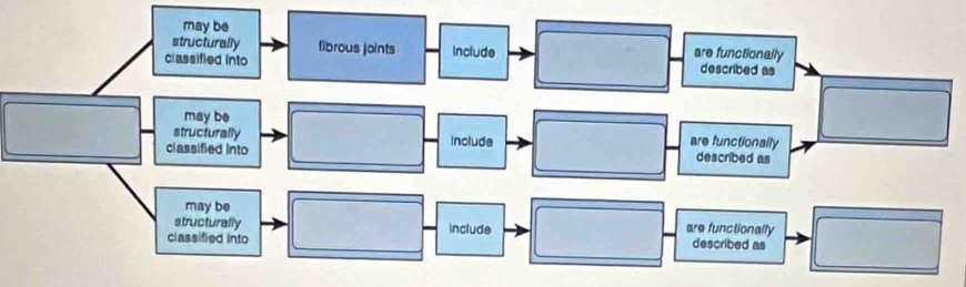 may be 
structurally fibrous joints Include are functionally 
classified into described as 
may be 
structurally Include are functionally 
classified into deacribed as 
may be 
structurally include are functionally 
classified into described as