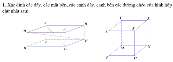 Xác định các đáy, các mặt bên, các cạnh đáy, cạnh bên các đường chéo của hình hộp 
chữ nhật sau: