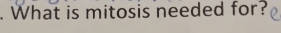 What is mitosis needed for?