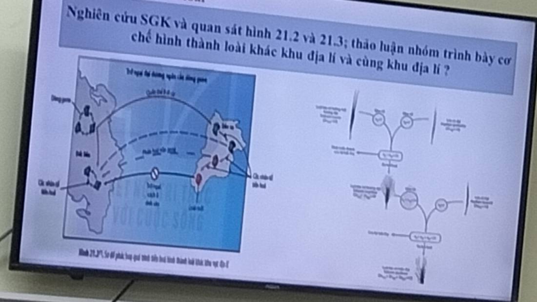 Nghiên cứu SGK và quan sát hình 21.2 và 21.3; thảo luận nhóm trình bày cơ 
chế hình thành loài khhu địa lí và cùng khu địa lí ? 
c đị E