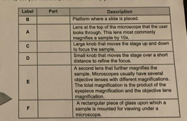 microscope.