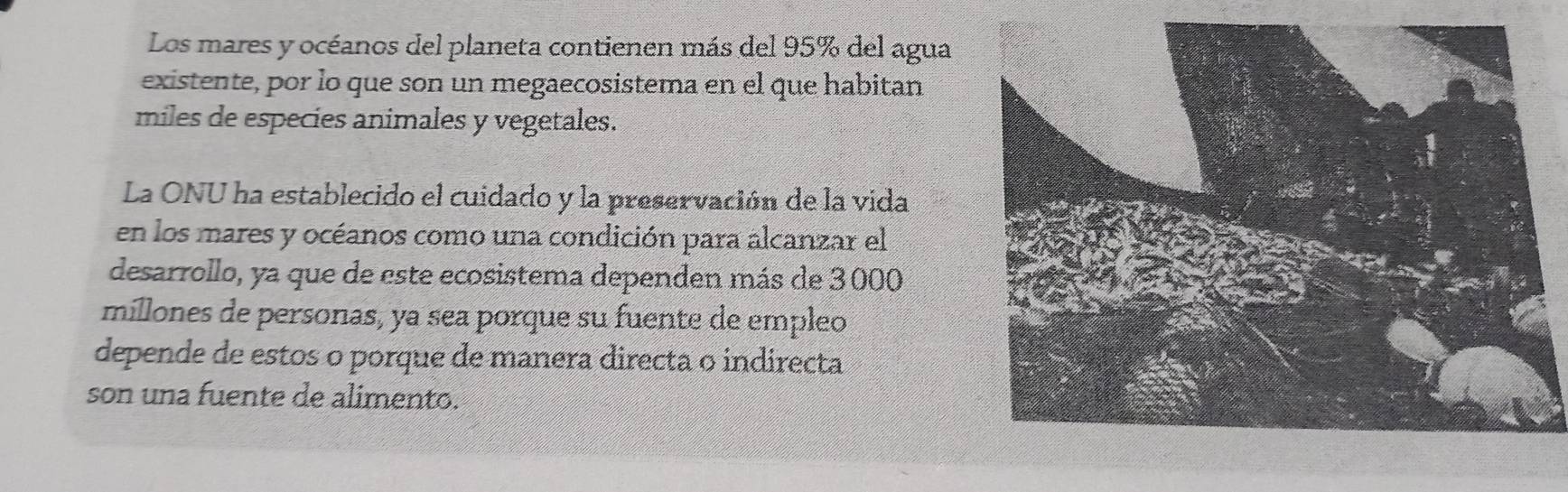 Los mares y océanos del planeta contienen más del 95% del agua 
existente, por lo que son un megaecosistema en el que habitan 
miles de especies animales y vegetales. 
La ONU ha establecido el cuidado y la preservación de la vida 
en los mares y océanos como una condición para alcanzar el 
desarrollo, ya que de este ecosistema dependen más de 3000
míllones de personas, ya sea porque su fuente de empleo 
depende de estos o porque de manera directa o indirecta 
son una fuente de alimento.