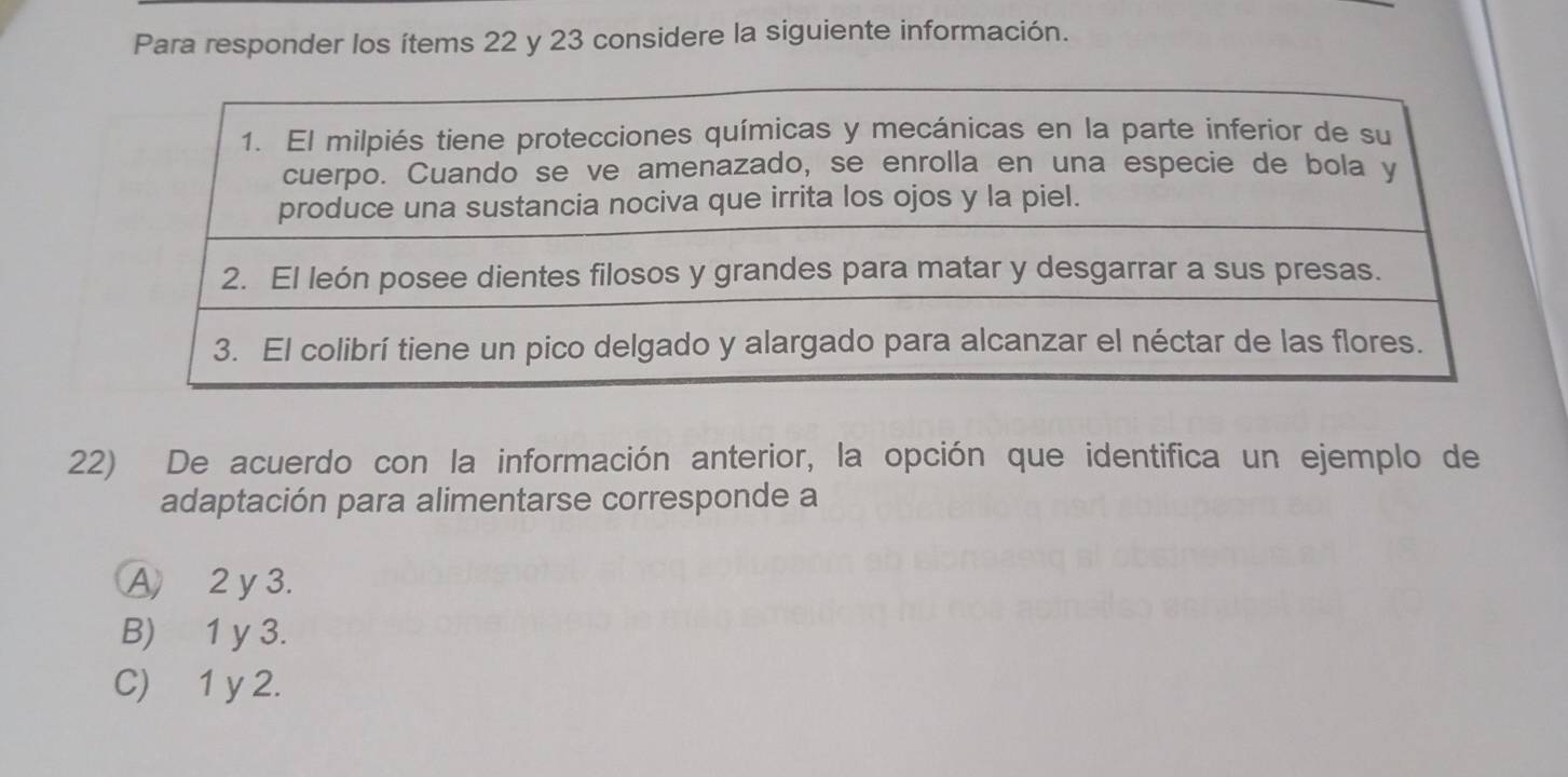 Para responder los ítems 22 y 23 considere la siguiente información.
22) De acuerdo con la información anterior, la opción que identifica un ejemplo de
adaptación para alimentarse corresponde a
A 2 y 3.
B) 1 y 3.
C) 1 y 2.