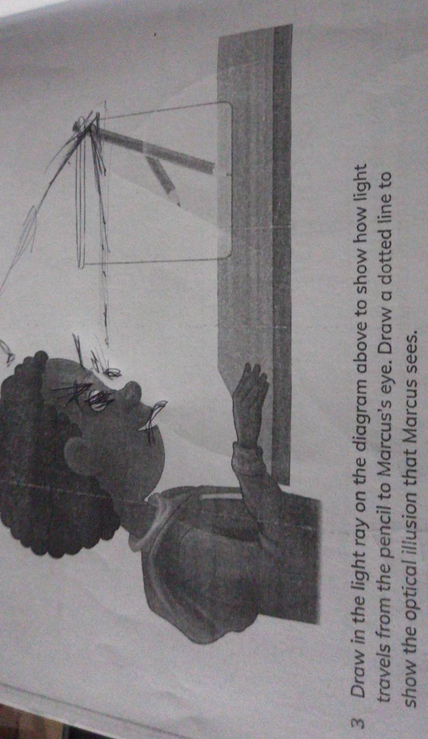 Draw in the light ray on the diagram above to show how light 
travels from the pencil to Marcus's eye. Draw a dotted line to 
show the optical illusion that Marcus sees.