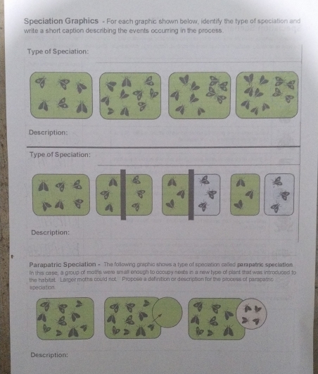 Speciation Graphics - For each graphic shown below, identify the type of speciation and 
write a short caption describing the events occurring in the process. 
Type of Speciation: 
Description: 
Type of Speciation: 
Description: 
Parapatric Speciation - The following graphic shows a type of speciation called parapatric speciation 
In this case, a group of moths were small enough to occupy nests in a new type of plant that was introduced to 
the habitat. Larger moths could not. Propose a definition or description for the process of parapatrio 
speciation 
Description: