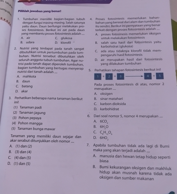 in lakuk
umpulk
Pilihlah jawaban yang benar!
1. Tumbuhan memiliki bagian-bagian tubuh 4. Proses fotosintesis memerlukan bahan-
dengan fungsi masing-masing. Salah satunya
yaitu daun. Daun berfungsi melakukan pro- bahan yang berasal dari alam dan tumbuhan
ses fotosintesis. Berikut ini zat pada daun itu sendiri, Berikut ini pernyataan yang benar
yang membantu proses fotosintesis adalah .... terkait dengan proses fotosintesis adalah ....
A. air C. glukosa A. proses fotosinesis memerlukan oksigen
untuk melakukan fotosintesis
B. udara D. klorofil B. salah satu hasil dari fotosintesis yaitu
karbohidrat (glukosa)
2. Nutrisi yang terdapat pada tanah sangat C. ada atau tidaknya klorofil tidak mem-
dibutuhkan untuk pertumbuhan pada tum-
buhan. Nutrisi tersebut dibutuhkan oleh pengaruhi hasil fotosintesis
seluruh anggota tubuh tumbuhan. Agar nu- D. air merupakan hasil dari fotosintesis
trisi pada tanah dapat diperoleh tumbuhan, yang dilakukan tumbuhan
bagian tumbuhan yang bertugas menyerap
nutrisi dari tanah adalah .... 5. Perhatikan tahapan fotosintesis berikut ini!
A. mahkota 1 + 2 + 3 4 + 5
B. daun
C. batang merupakan .... Pada proses fotosintesis di atas, nomor 2
D. akar A. oksigen
3. Perhatikan beberapa nama tanaman berikut B. sinar matahari
ini! C. karbon dioksida
(1) Tanaman padi D. karbohidrat
(2) Tanaman jagung
(3) Pohon pepaya 6. Dari soal nomor 5, nomor 4 merupakan ....
(4) Pohon mangga
A. 6CO_2
B. 6H_2O
(5) Tanaman bunga mawar
C. C_6H_12O_6
Tanaman yang memiliki daun sejajar dan D. 6HO_2
akar serabut ditunjukkan oleh nomor ....
A. (1) dan (2) 7. Apabila tumbuhan tidak ada lagi di Bumi
maka yang akan terjadi adalah ....
B. (3) dan (4) A. manusia dan hewan tetap hidup seperti
C. (4) dan (5) biasa
D. (1) dan (5) B. Bumi kekurangan oksigen dan makhluk
hidup akan musnah karena tidak ada
oksigen dan sumber makanan