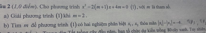 âu 2 (1,0 điểm). Cho phương trình x^2-2(m+1)x+4m=0 (1), với m là tham số. 
a) Giải phương trình (1) khi m=2. 
b) Tìm m để phương trình (1) có hai nghiệm phân biệt x_1, x_2 thỏa mãn |x_1|-|x_2|=-4
trồng cây đầu năm, ban tổ chức dự kiến trồng 80 cây xanh. Tuy nhiên