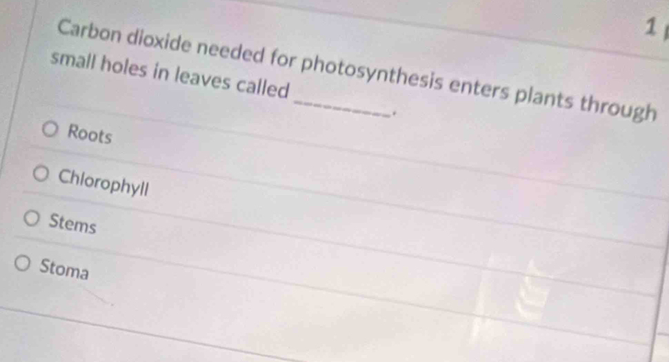 Carbon dioxide needed for photosynthesis enters plants through
small holes in leaves called
.
Roots
Chlorophyll
Stems
Stoma