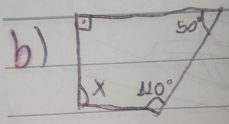 50°
x110°