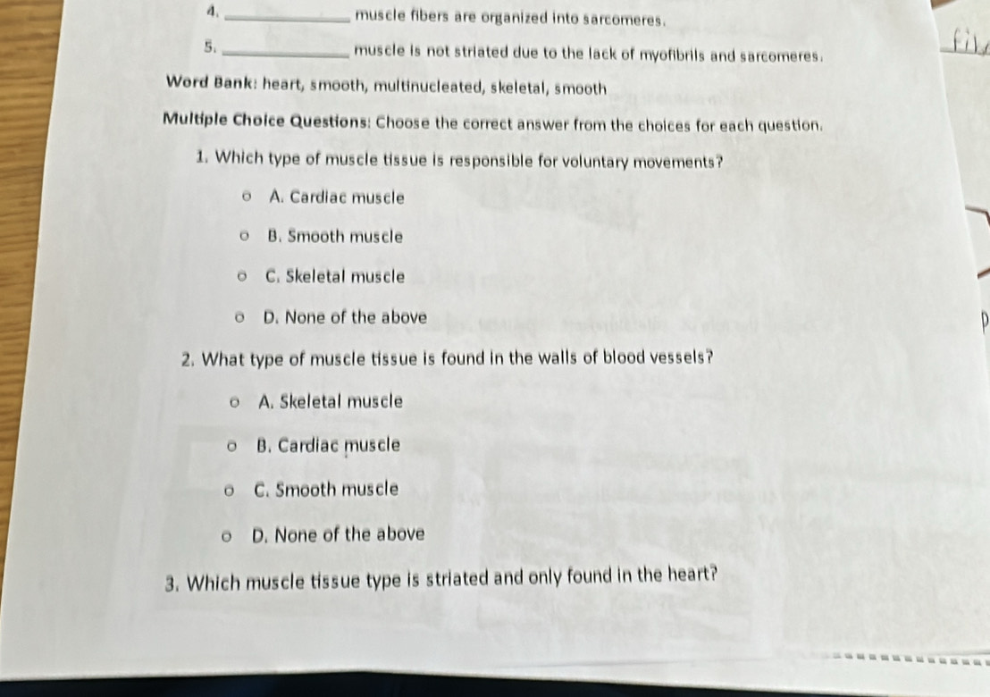 muscle fibers are organized into sarcomeres.
5. _muscle is not striated due to the lack of myofibrils and sarcomeres.
_
Word Bank: heart, smooth, multinucleated, skeletal, smooth
Multiple Choice Questions: Choose the correct answer from the choices for each question.
1. Which type of muscle tissue is responsible for voluntary movements?
A. Cardiac muscle
B. Smooth muscle
C. Skeletal muscle
D. None of the above
2. What type of muscle tissue is found in the walls of blood vessels?
A. Skeletal muscle
B. Cardiac muscle
C. Smooth muscle
D. None of the above
3. Which muscle tissue type is striated and only found in the heart?