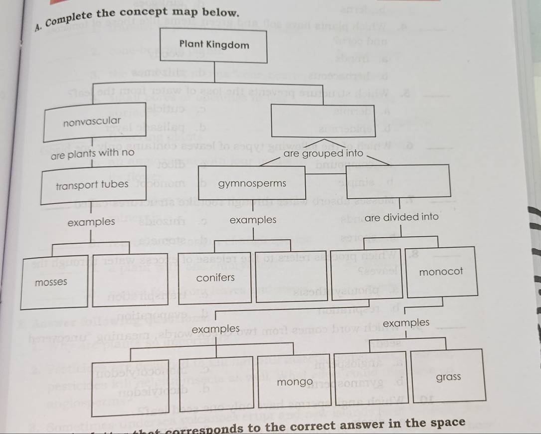 omplete the concept map below. 
corresponds to the correct answer in the space