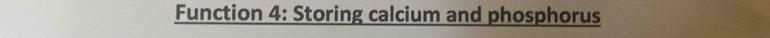 Function 4: Storing calcium and phosphorus