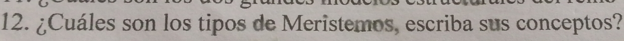 ¿Cuáles son los tipos de Meristemos, escriba sus conceptos?