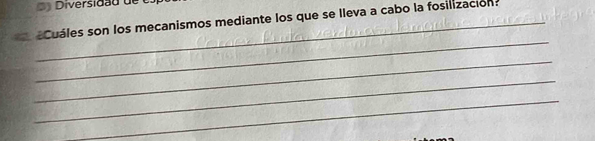 Diversidãd de é 
eCuáles son los mecanismos mediante los que se Ileva a cabo la fosilización: 
_ 
_ 
_ 
_