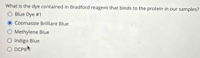 What is the dye contained in Bradford reagent that binds to the protein in our samples?
Blue Dye #1
Coomassie Brilliant Blue
Methylene Blue
Indigo Blue
DCPIF