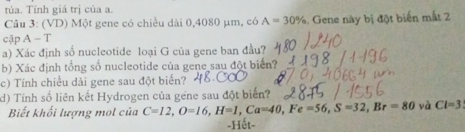 túa. Tính giá trị của a. 
Câu 3: (VD) Một gene có chiều dài 0,4080 μm, có A=30%. Gene này bị đột biến mất 2 
cặp A - T 
a) Xác định số nucleotide loại G của gene ban đầu? 
b) Xác định tổng số nucleotide của gene sau đột biển? 
c) Tính chiều dài gene sau đột biến? 
d) Tính số liên kết Hydrogen của gene sau đột biển? 
Biết khối lượng mol của C=12, O=16, H=1, Ca=40, Fe=56, S=32, Br=80 yà Cl=3
-Hết-