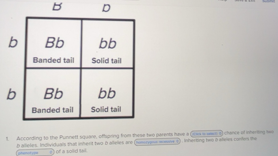 Solved: According to the Punnett square, offspring from these two ...