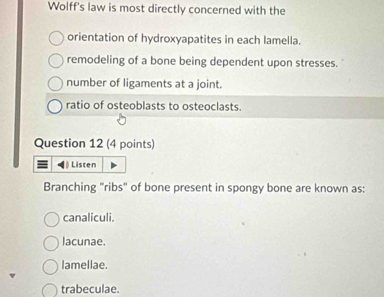 Wolff's law is most directly concerned with the
orientation of hydroxyapatites in each lamella.
remodeling of a bone being dependent upon stresses.
number of ligaments at a joint.
ratio of osteoblasts to osteoclasts.
Question 12 (4 points)
Listen
Branching "ribs" of bone present in spongy bone are known as:
canaliculi.
lacunae.
lamellae.
trabeculae.