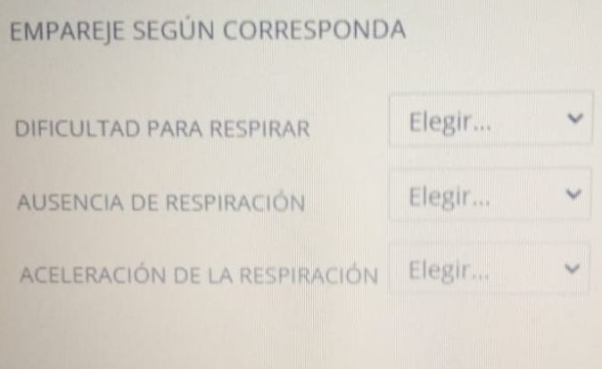 EMPAREJE SEGÚN CORRESPONDA 
DIFICULTAD PARA RESPIRAR Elegir... 
AUSENCIA DE RESPIRACIÓN Elegir... 
ACELERACIÓN dE la reSpiracióN Elegir...