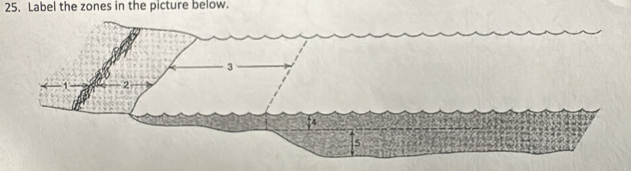 Label the zones in the picture below.