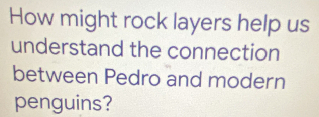 How might rock layers help us 
understand the connection 
between Pedro and modern 
penguins?