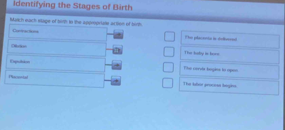 Identifying the Stages of Birth 
Match each stage of birth to the appropriate action of birth. 
Contractions The placenta is delivered 
Dilation The baby is born. 
Expulision 
The cervix begins to open 
Placental The labor process begins