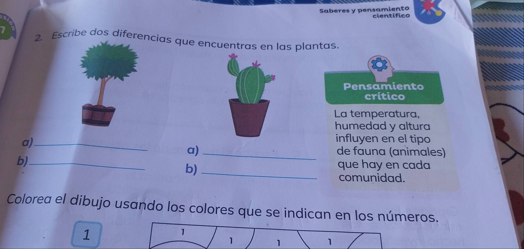 Saberes y pensamiento 
científico 
7 2. Escribe dos diferecias que encuentras en las plantas. 
Pensamiento 
crítico 
La temperatura, 
humedad y altura 
a)_ 
influyen en el tipo 
a) _de fauna (animales) 
b)_ 
b)_ 
que hay en cada 
comunidad. 
Colorea el dibujo usando los colores que se indican en los números. 
1 
1 
1 
1 
1